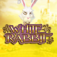 White Rabbit